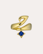 Hubb Wrap Ring